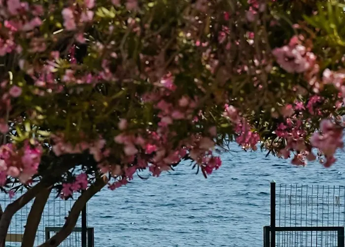 Club Beyy 酒店 伊兹密尔