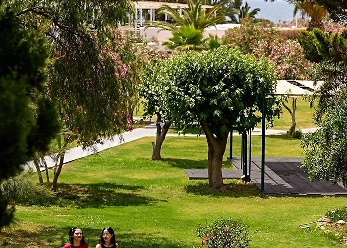 Отель Club Beyy